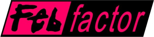 Feb Factor logo.jpg